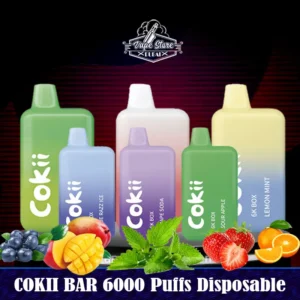 COKII BAR 6000 Puffs Disposable