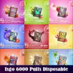 Isgo 6000 Puffs Disposable