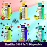 Nerd Bar 3000 Puffs Disposable