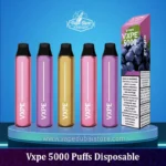 Vxpe 5000 Puffs Disposable