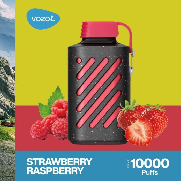 VOZOL GEAR 10000 PUFFS DISPOSABLE VAPE DUBAI